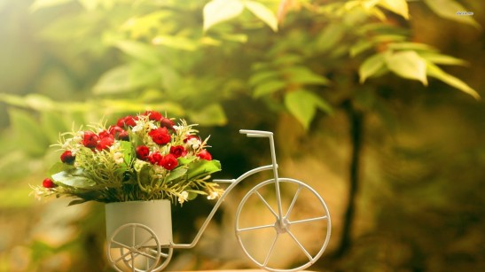 bike-flower-pot-photography-14500